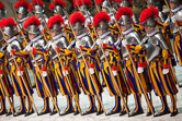 Swiss guard recruit during the swearing-in ceremony of the Vatican's elite Swiss Guard at Paul VI hall. Vatican City, May 6, 2010.